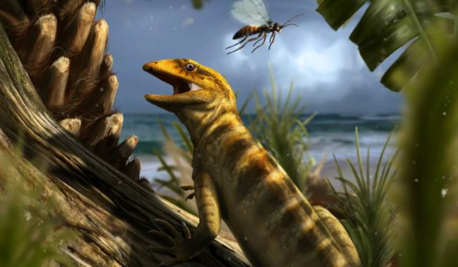 Фото - Найден первый предок змей и ящериц, живший 240 миллионов лет назад