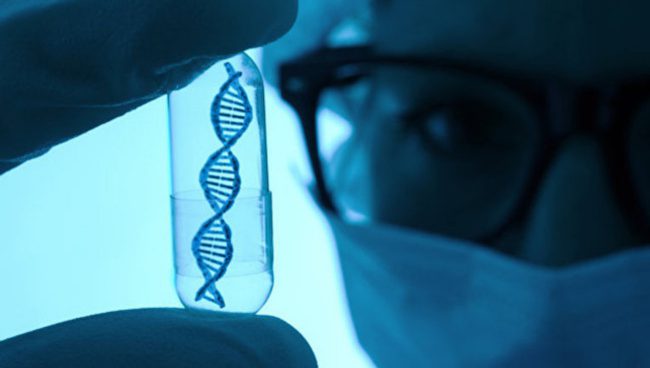 Фото - Ученые впервые «отключили» ген в эмбрионе человека