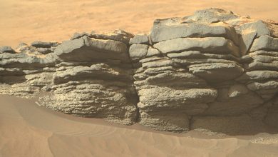 Фото - Астрономы обнаружили уникальные зеленые пески на Марсе, похожие на Гавайские пляжи