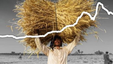 Фото - Чем грозит миру продовольственный кризис?