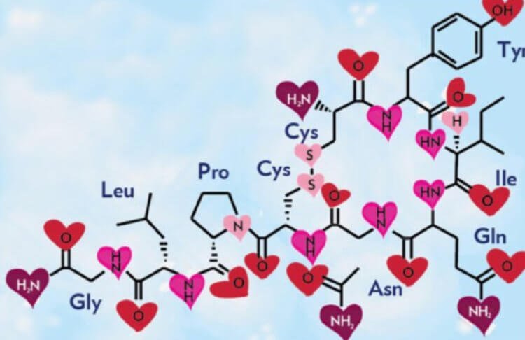 Может ли употребление «гормона любви» улучшить отношения в семье