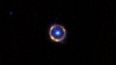 Фото - Телескоп Уэбба сфотографировал почти идеальное кольцо Эйнштейна
