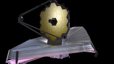 Фото - Астрономы заподозрили, что телескоп James Webb не сможет отличить «землю» от «венеры»