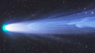 Фото - Фотографу удалось запечатлеть комету до того, как она навсегда покинула Солнечную систему
