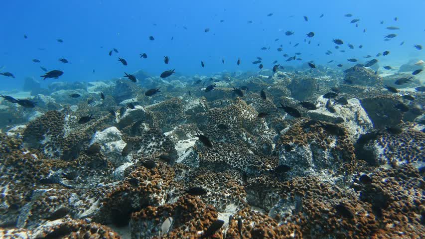 Фото - Найден дешевый способ исследования океана