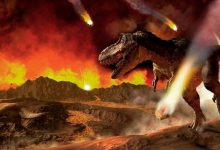 Фото - Палеонтологи предположили, что динозавры начали вымирать до падения метеорита