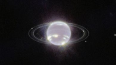 Фото - Телескоп James Webb сфотографировал призрачные кольца Нептуна