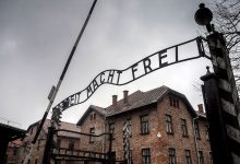 Фото - Ученые выяснили, какое вещество нацисты могли подмешивать в еду узниц лагерей смерти