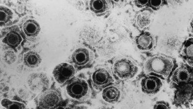 Фото - Врачи доказали эффективность генетически модифицированного вируса герпеса против рака