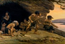 Фото - Антропологи установили, что древние люди на протяжении 2 млн лет были высшими хищниками