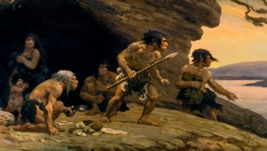 Фото - Антропологи установили, что древние люди на протяжении 2 млн лет были высшими хищниками