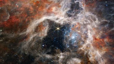 Фото - Астрономы показали туманность Тарантул, снятую телескопом James Webb