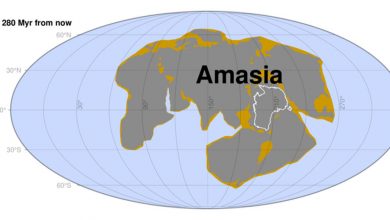 Фото - Геологи спрогнозировали образование единого суперконтинента через 300 млн лет