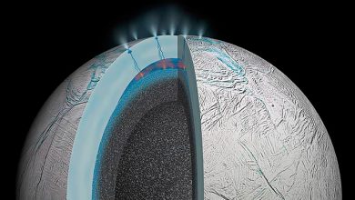 Фото - Китайские ученые нашли важный для жизни фосфор на Энцеладе, спутнике Сатурна