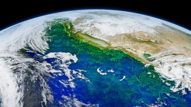 Фото - На месте Тихого Океана образуется суперконтинент Амазия