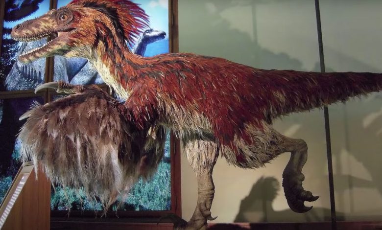 Фото - Палеонтологи обнаружили крупнейшего динозавра-страуса весом 800 кг