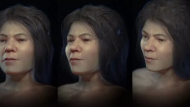 Фото - Посмотрите, как выглядела женщина, жившая 31000 лет назад