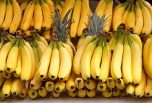 Фото - Ученые подозревают, что на Земле существуют неизвестные виды бананов