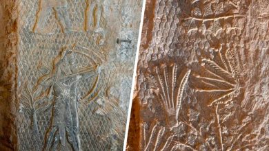 Фото - В Ниневии нашли древнеассирийские рельефы у взорванных ИГ* ворот Машки