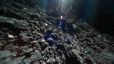 Фото - В составе астероида Рюгу обнаружены образцы газа старше Солнечной системы