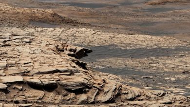 Фото - Марсоход NASA Perseverance обнаружил органические молекулы на дне кратера Езеро