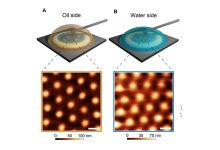 Фото - Ученые смогли увидеть форму микрочастицы гидрогеля на границе жидкости