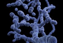 Фото - Ученые связали бытовую химию с развитием бактерий, устойчивых к антибиотикам