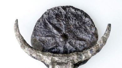 Фото - В Омане в гробнице обнаружили серебряное украшение бронзового века